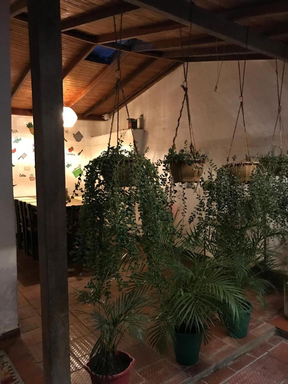 The Best Adventure Hostel San Gil Exterior photo